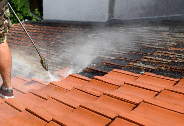 Best Pressure Washing Services Near Me  in West Branch, MI