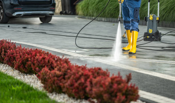 Best Affordable Pressure Washing  in West Branch, MI