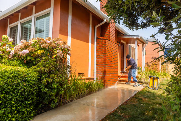 Best Best Pressure Washing Companies  in West Branch, MI
