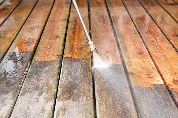 Best House Pressure Washing  in West Branch, MI